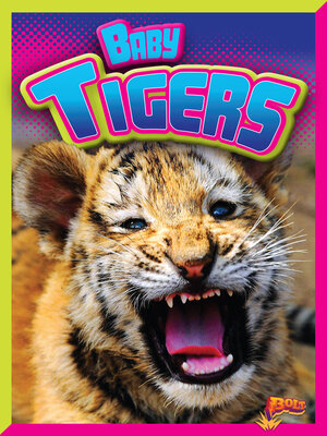 cover image of Baby Tigers